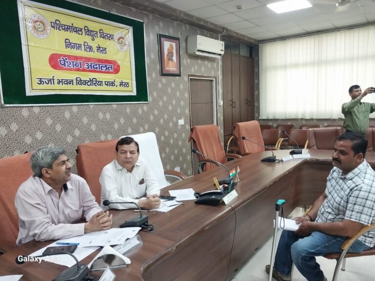 फर्जी विद्युत कर्मचारी बनकर ठगी की चेतावनी के बीच बिजली मीटर की जांच करते कर्मचारी की प्रतीकात्मक तस्वीर।