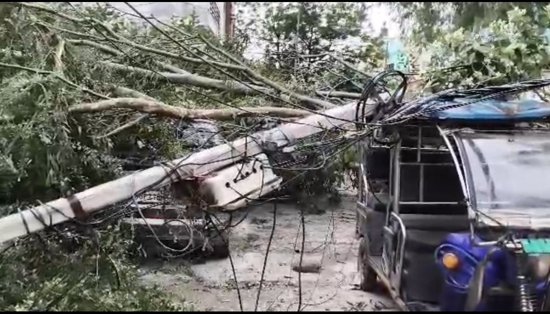 पेड़ों के नीचे दबे वाहन मुरादाबाद