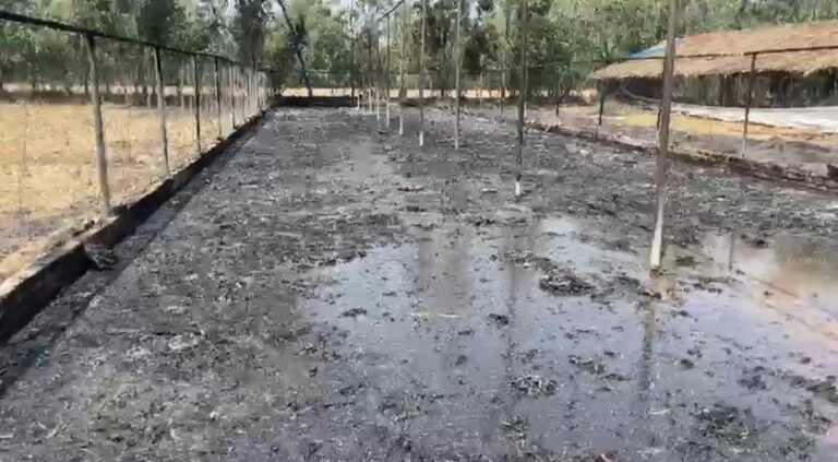 मुरादाबाद में पोल्ट्री फार्म में आग लगने के बाद जला हुआ ढांचा