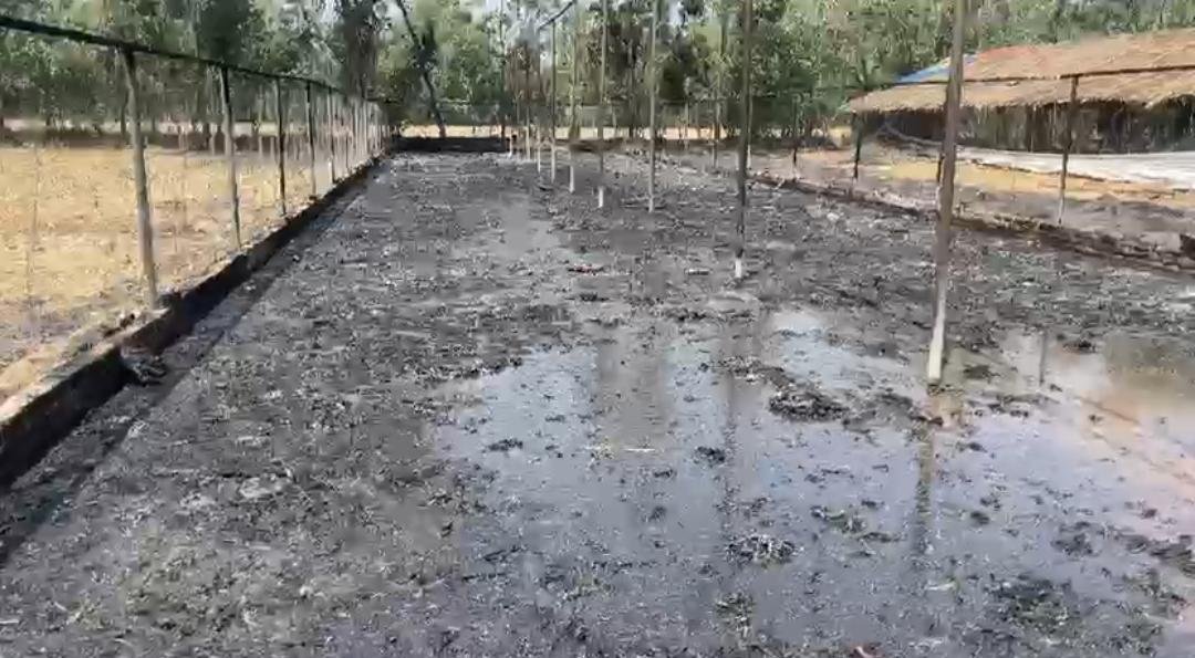 मुरादाबाद में पोल्ट्री फार्म में आग लगने के बाद जला हुआ ढांचा