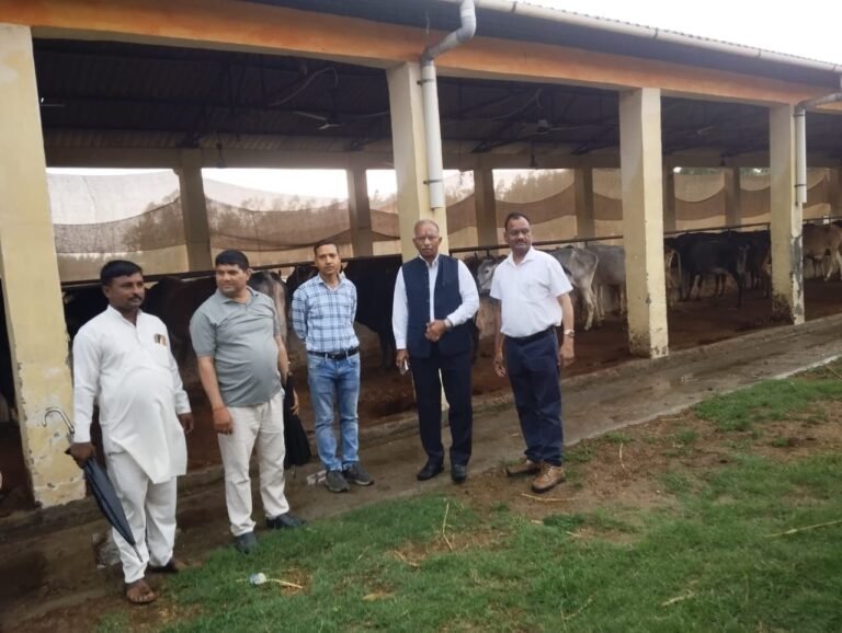 मुरादाबाद की गौशाला में गोवंशों की व्यवस्थाओं का निरीक्षण करते अधिकारी