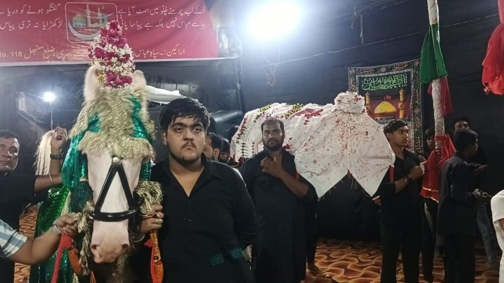 सिरसी सादात में 14 मोहर्रम का कदीमी जुलूस निकालते अज़ादार