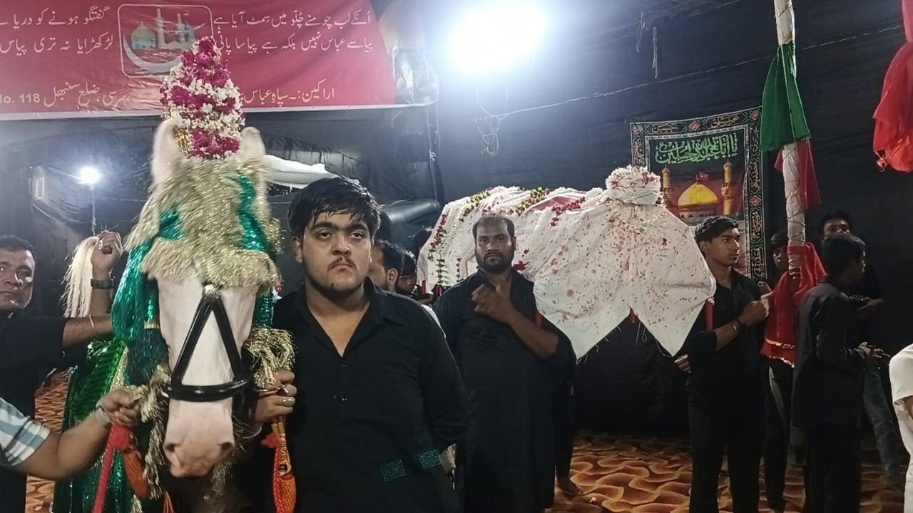 सिरसी सादात में 14 मोहर्रम का कदीमी जुलूस निकालते अज़ादार